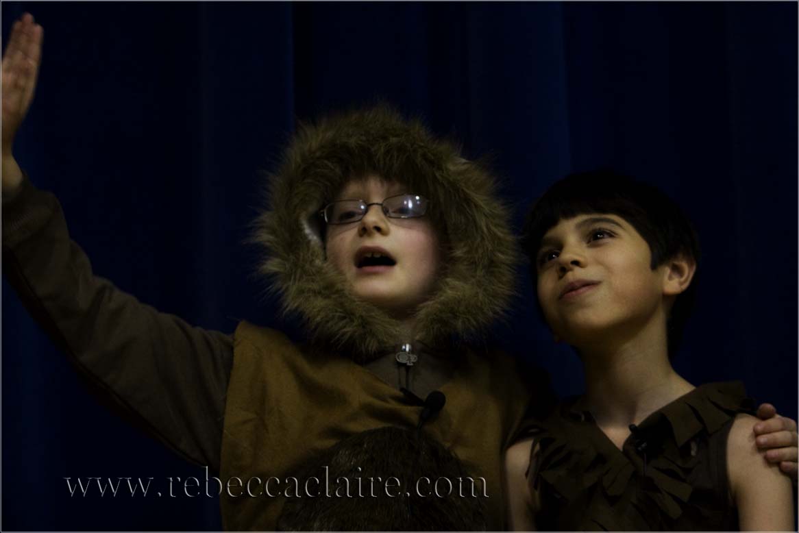 The Bear Necessities