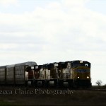 Train on the prairie