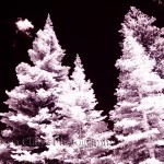 Infrared trees in Arkansas
