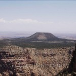 Grand Canyon Mesa