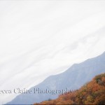 Fall foliage in Gatlinburg