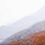 Fall foliage in The Smokey Mountains