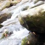 River rocks in Gatlinburg