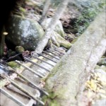Wooden ladder in Gatlinburg