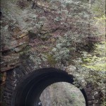 Tunnel with Lichen on it