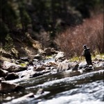 Swing Tilt fisherman